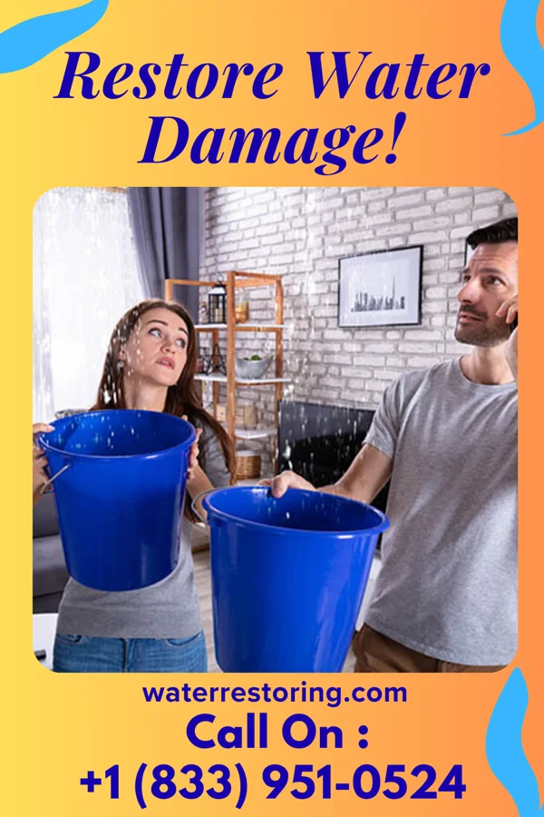 water restoration Eco Cleanup Pros Latimer